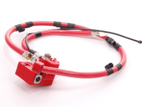 Oryginalny kabel plus akumulatora BMW E63 E64.jpg