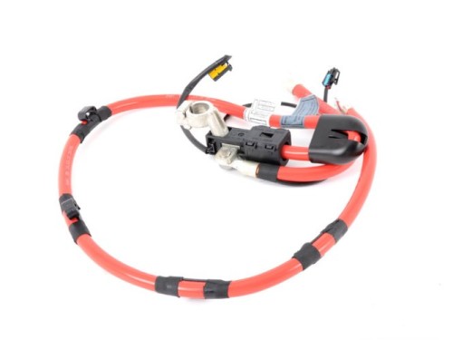 Oryginalny kabel plus akumulatora BMW E63 E64.jpg